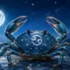 28 czerwca jaki znak zodiaku