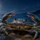 29 czerwca jaki znak zodiaku